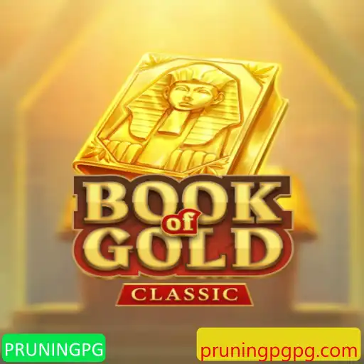 Explorando o Universo de BookOfGoldClassic: Regras e Estratégias