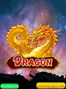 Dragon: Um Mundo de Aventuras e Estratégia no Universo de PRUNINGPG