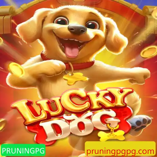 Desvendando LuckyDog: Jogo de Estratégia com a Palavra-Chave PRUNINGPG